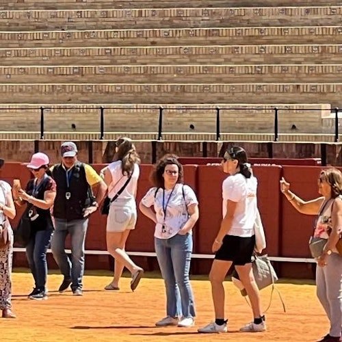 Real Maestranza: Guided Tour of the Bullring