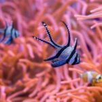 Acuario de Sevilla: Entrada
