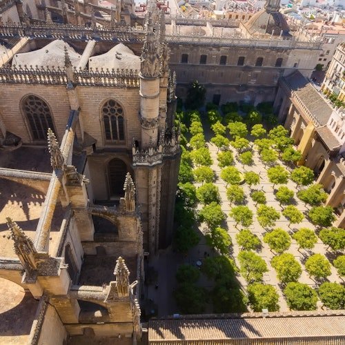 Entradas Catedral de Sevilla y La Giralda: Tour guiado