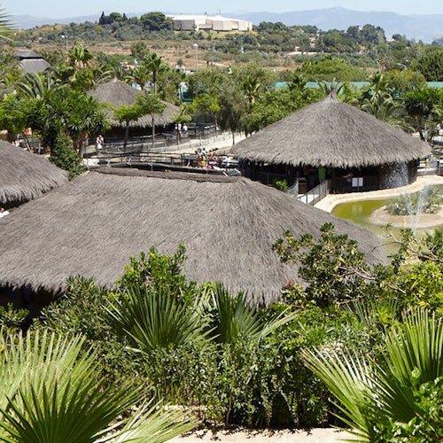 Crocodile Park Torremolinos: Admission