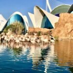 Oceanogràfic y Museo de las Ciencias: Entrada