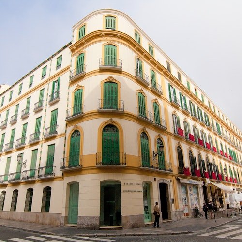 Museo Picasso Málaga y Museo Casa Natal de Picasso: Tour guiado