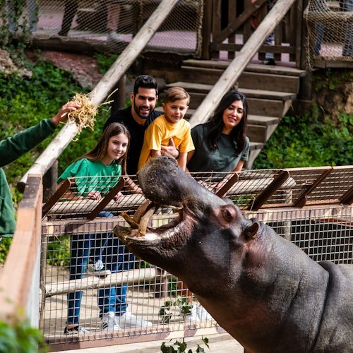 Selwo Aventura Estepona: Admission