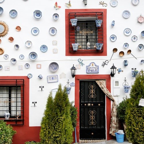 The Alhambra, the Nasrid Palaces, the Albaicín, and Sacromonte: Guided Tour