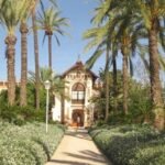 Huerto Ribera: Visita guiada a un huerto de naranjos desde Valencia + degustación gastronómica