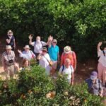 Huerto Ribera: Visita guiada a un huerto de naranjos desde Valencia + degustación gastronómica