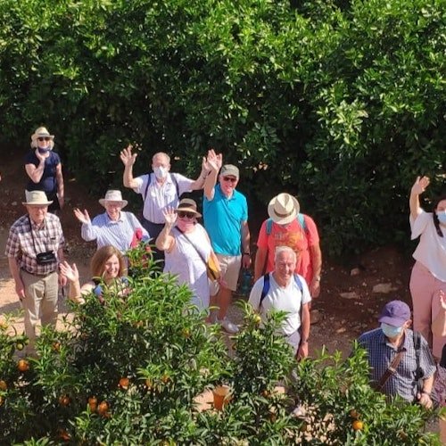 Huerto Ribera: Visita guiada a un huerto de naranjos desde Valencia + degustación gastronómica