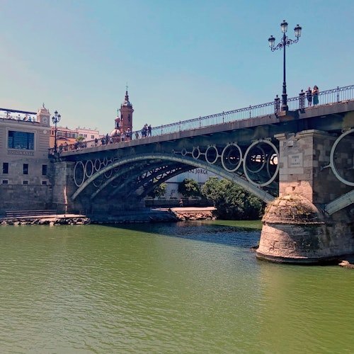 Sevilla: Paseo en barco + Comida o Cena de 5 platos + Bebidas ilimitadas