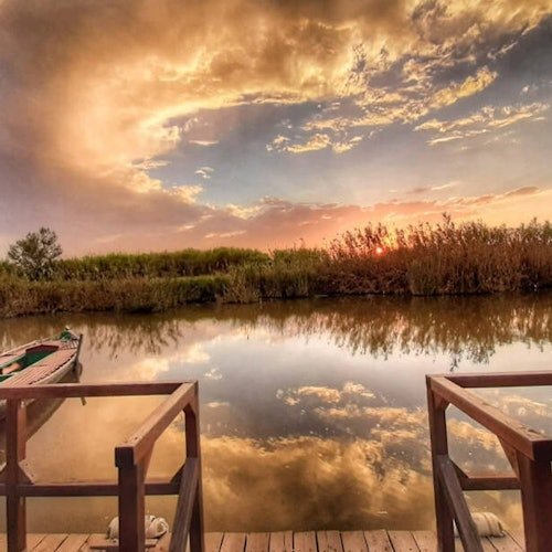 Albufera: Excursión guiada de un día desde Valencia + Paseo en barco
