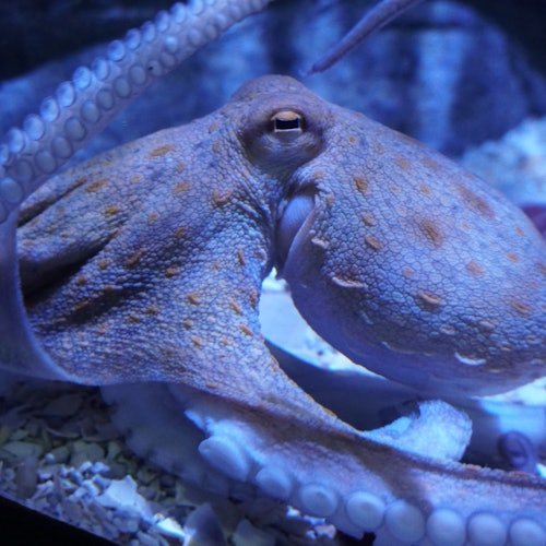Acuario de Sevilla: Entrada
