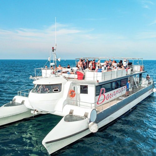 Valencia: Crucero en Catamarán + Baño