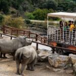 Selwo Aventura Estepona: Admission