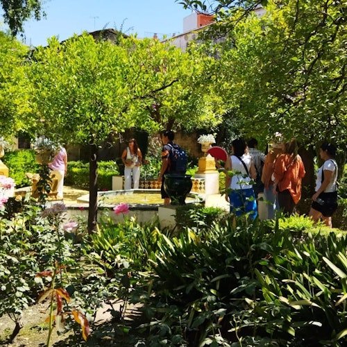 Palacio de las Dueñas: Admission + Guided Tour