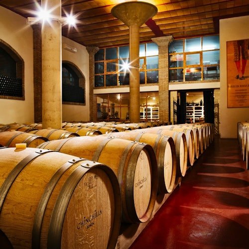 Doña Felisa Winery: Guided tour and wine tasting or meal