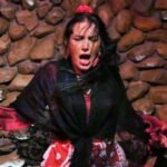 El Gallo Ronco Málaga: Espectáculo Flamenco