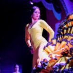 El Palacio Andaluz Sevilla: Solo Flamenco