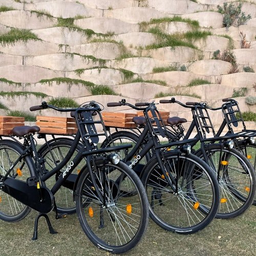 Valencia: Alquiler de bicicletas urbanas "Omafiets" de estilo holandés desde la zona de Russafa