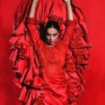 Teatro Flamenco Sevilla: Espectáculo de flamenco