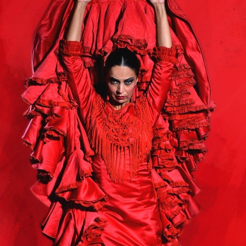Teatro Flamenco Sevilla: Espectáculo de flamenco