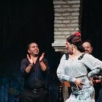 Flamenco Dance Museum: Admission + Matinee Flamenco Show