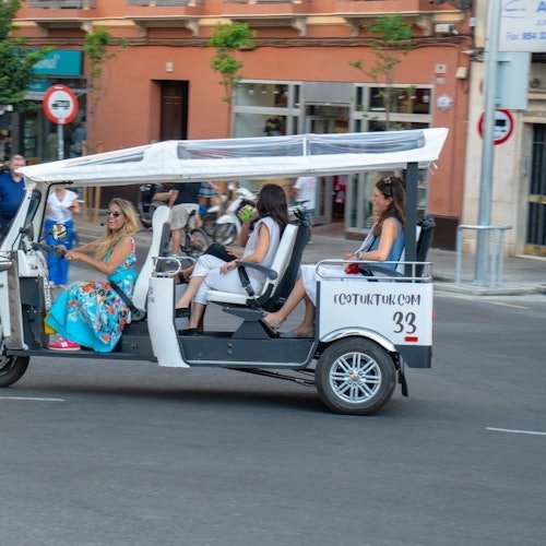 Seville: 1-Hour Private Electric Tuk-Tuk Tour