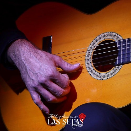 Tablao Flamenco La Setas Sevilla: Espectáculo Flamenco