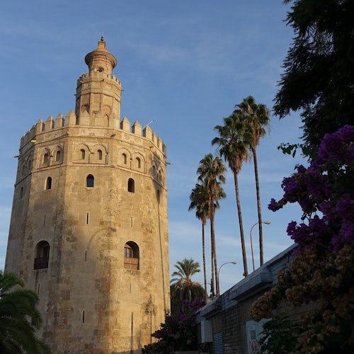 Sevilla: Crucero turístico desde Torre Del Oro
