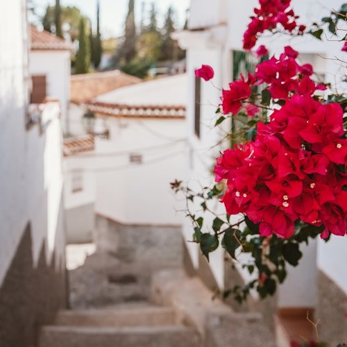 The Alhambra, the Nasrid Palaces, the Albaicín, and Sacromonte: Guided Tour