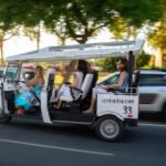 Seville: 1-Hour Private Electric Tuk-Tuk Tour