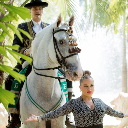 Club Hípico El Ranchito: Espectáculo andaluz de caballos y flamenco
