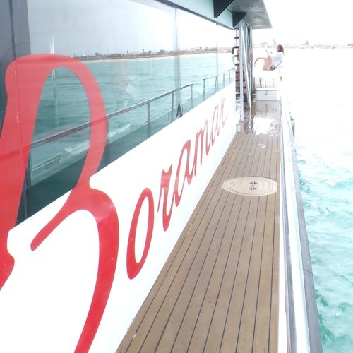Valencia: Catamaran Cruise + Swimming
