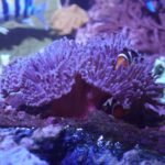 Acuario de Sevilla: Entrada