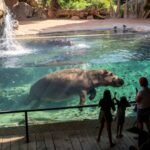 Bioparc Valencia: Entrada de acceso rápido