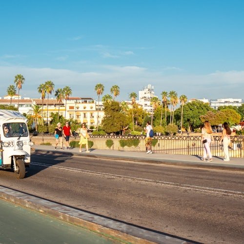 Seville: 1-Hour Private Electric Tuk-Tuk Tour