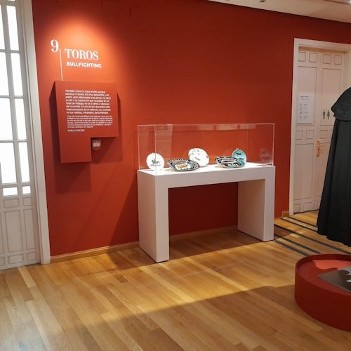Museo Casa Natal de Picasso: Entrada