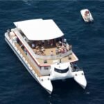 Valencia: Catamaran Cruise + Swimming