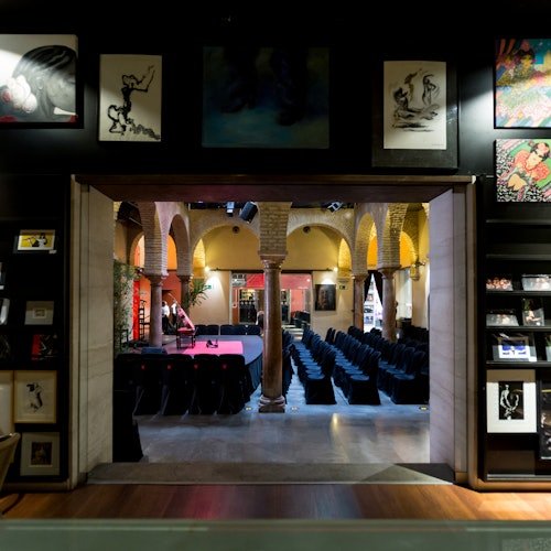 Museo del Baile Flamenco: Solo el Museo