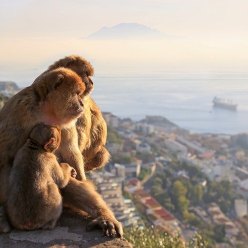 Gibraltar y Mijas: excursión guiada de día completo desde Málaga