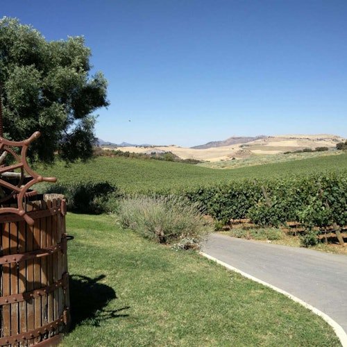 Doña Felisa Winery: Guided tour and wine tasting or meal