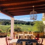Doña Felisa Winery: Guided tour and wine tasting or meal