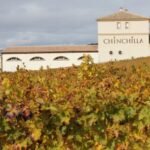 Doña Felisa Winery: Guided tour and wine tasting or meal