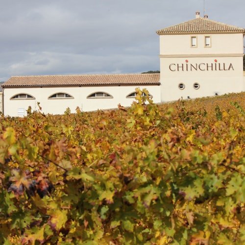 Doña Felisa Winery: Guided tour and wine tasting or meal