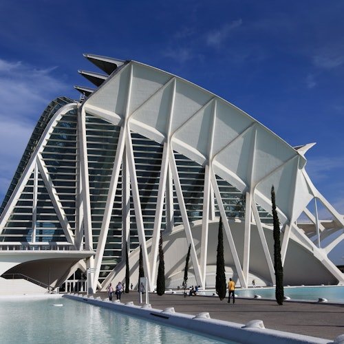 Museo de las Ciencias de Valencia: Entrada sin colas