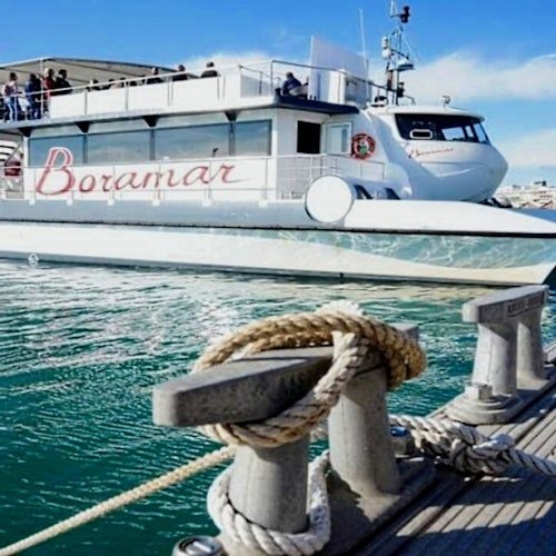 Valencia: Sunset Catamaran Cruise