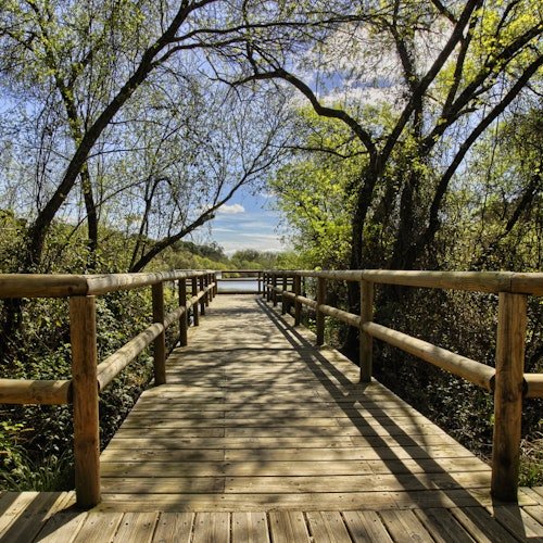 Parque Nacional de Doñana y El Rocío: Excursión de un día desde Sevilla