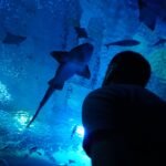 Acuario de Sevilla: Entrada