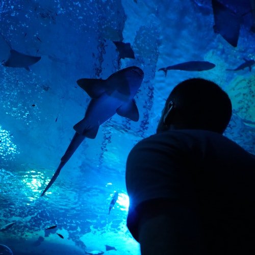 Acuario de Sevilla: Entrada