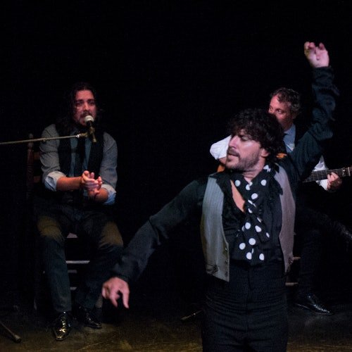 Teatro Triana Sevilla: Espectáculo Flamenco