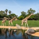 Bioparc Valencia: Entrada de acceso rápido