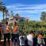 Huerto Ribera: Visita guiada a un huerto de naranjos desde Valencia + degustación gastronómica